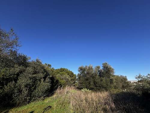 Saint-Gilles Gard terrain foto 7435431