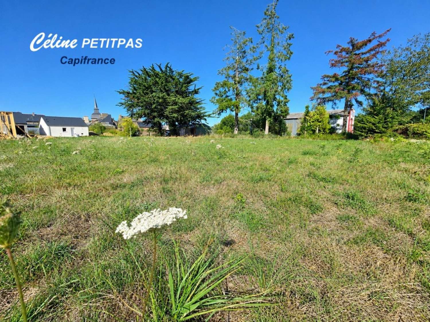 for sale terrain Saint-Gonlay Ille-et-Vilaine 1