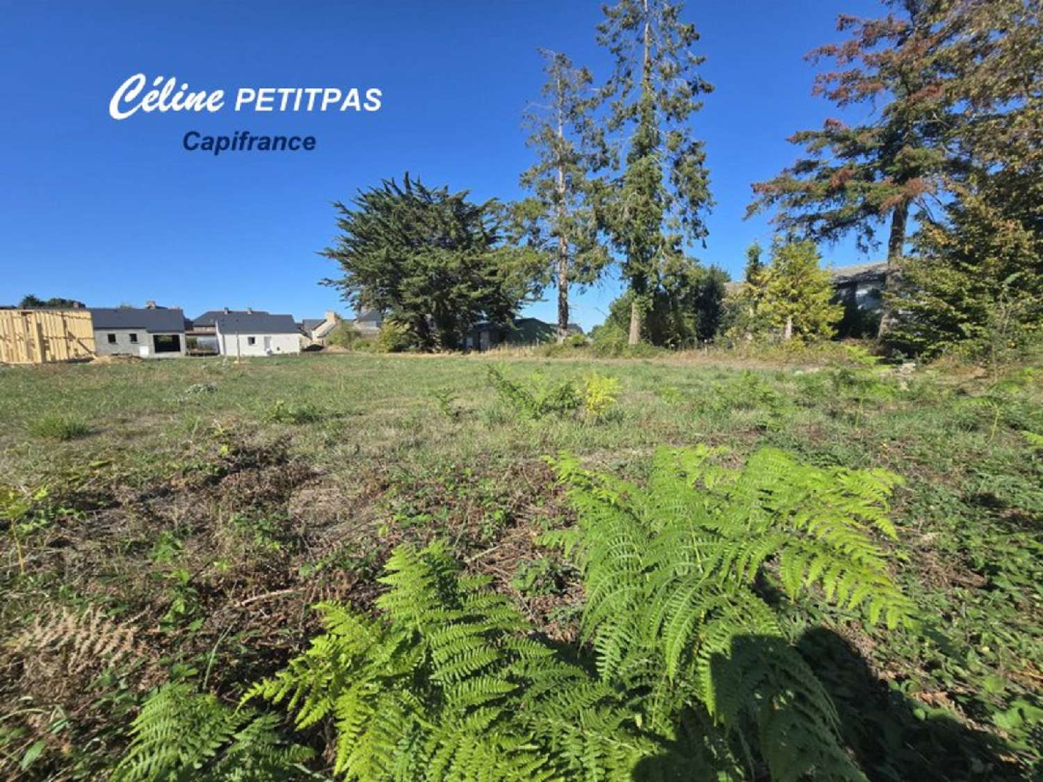 for sale terrain Saint-Gonlay Ille-et-Vilaine 2