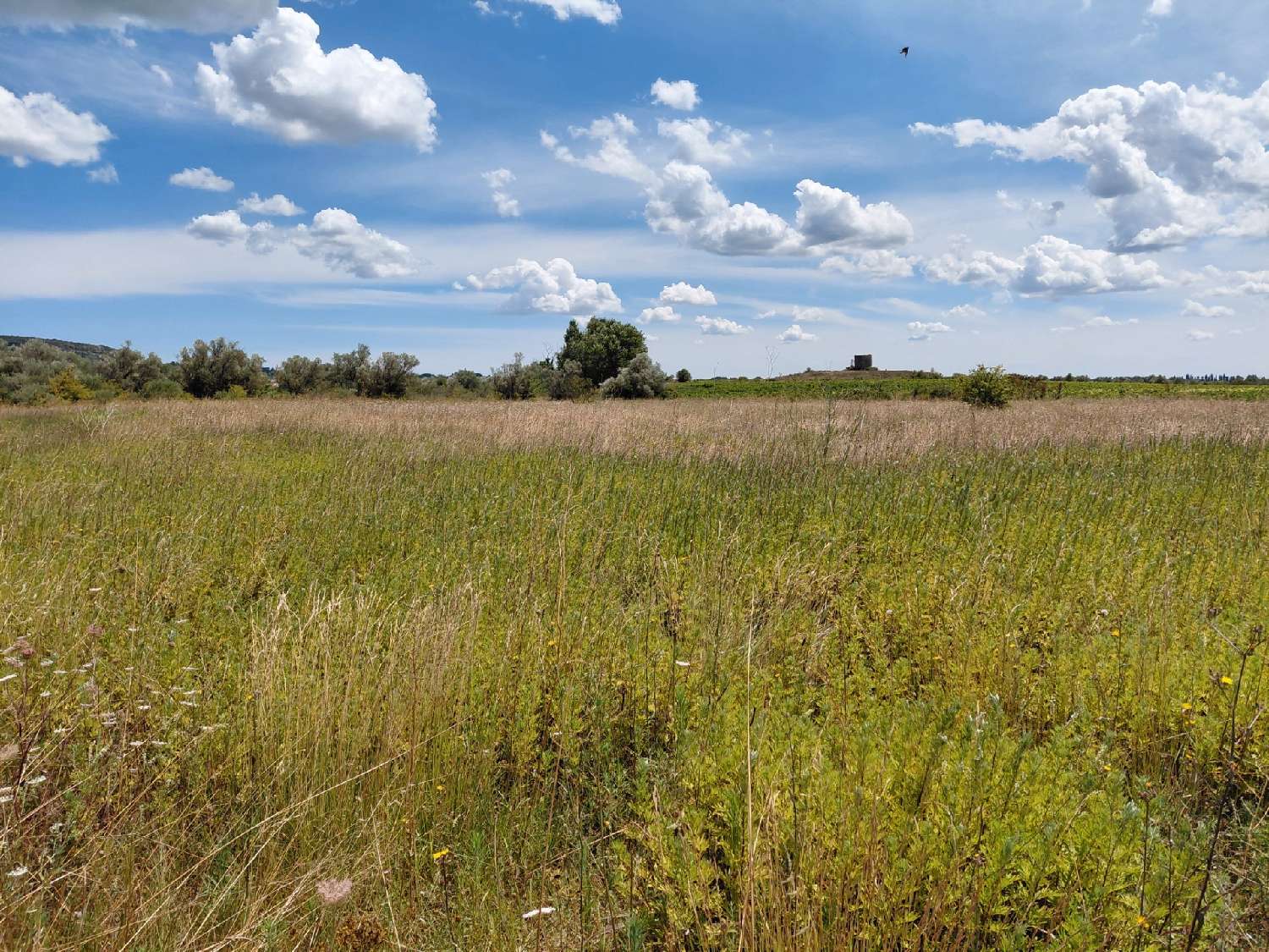  à vendre terrain Saint-Hilaire-d'Ozilhan Gard 1