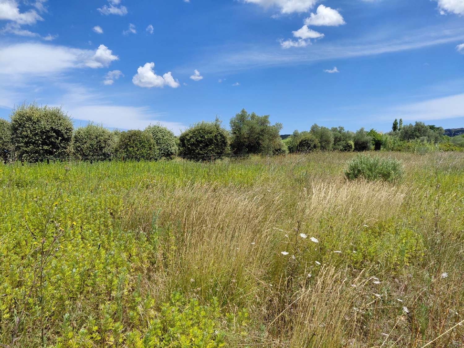  à vendre terrain Saint-Hilaire-d'Ozilhan Gard 2