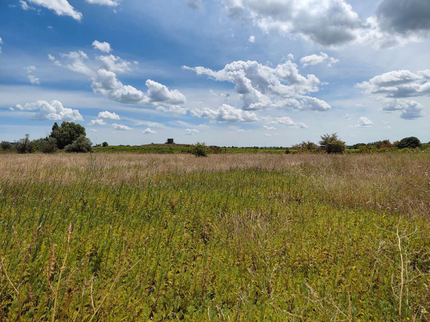  à vendre terrain Saint-Hilaire-d'Ozilhan Gard 3