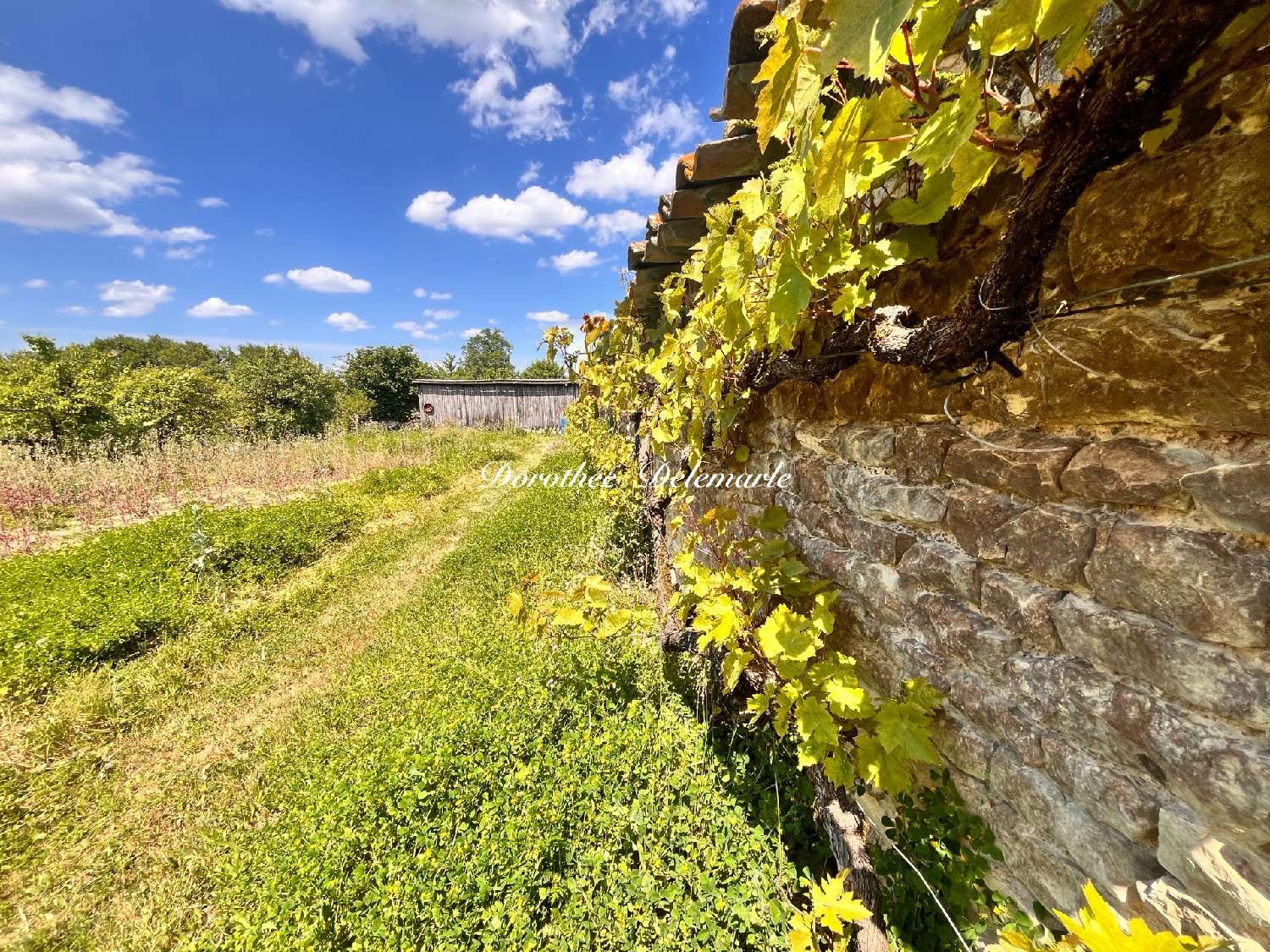  à vendre terrain Saint-Mard Charente-Maritime 5