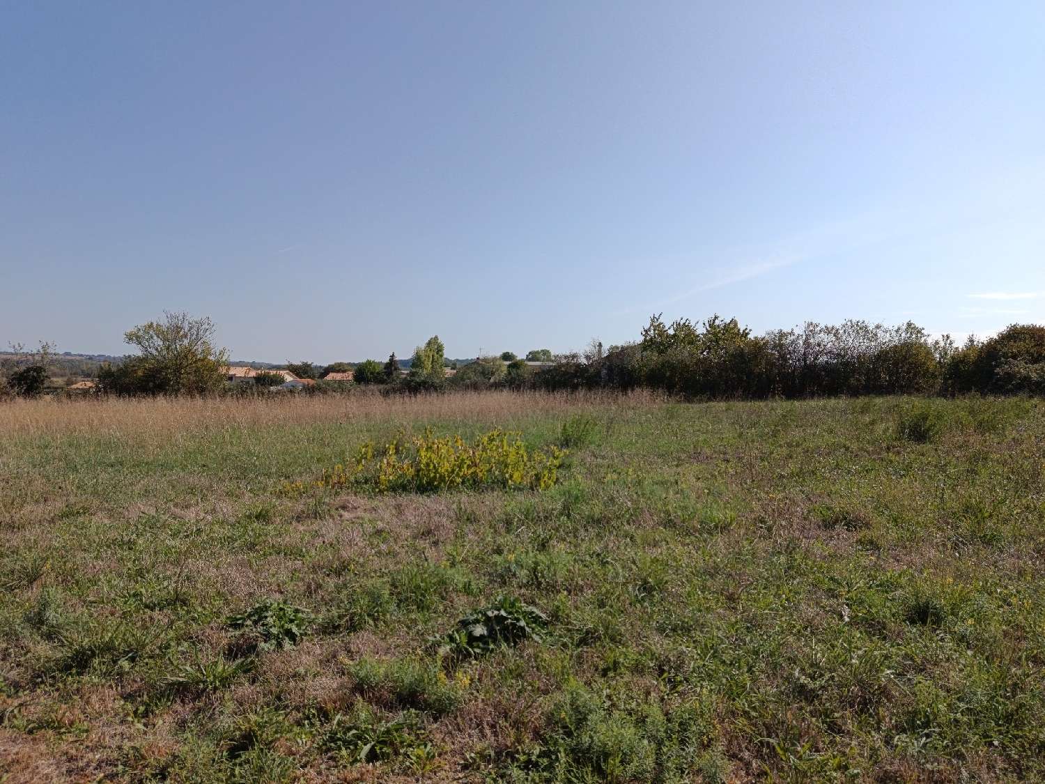 kaufen Grundstück Saint-Martin-de-Saint-Maixent Deux-Sèvres 3