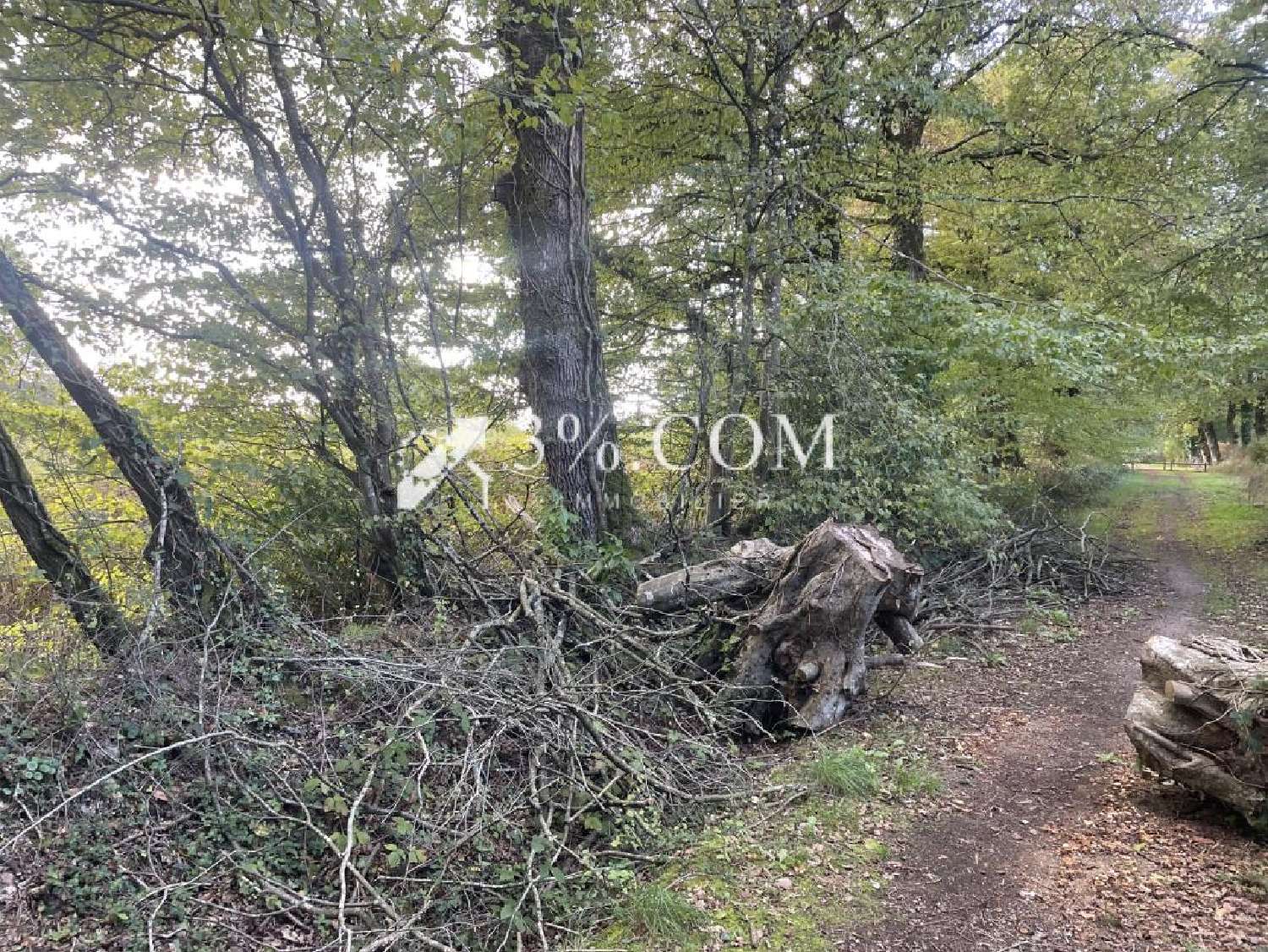 te koop terrein Saint-Péran Ille-et-Vilaine 3