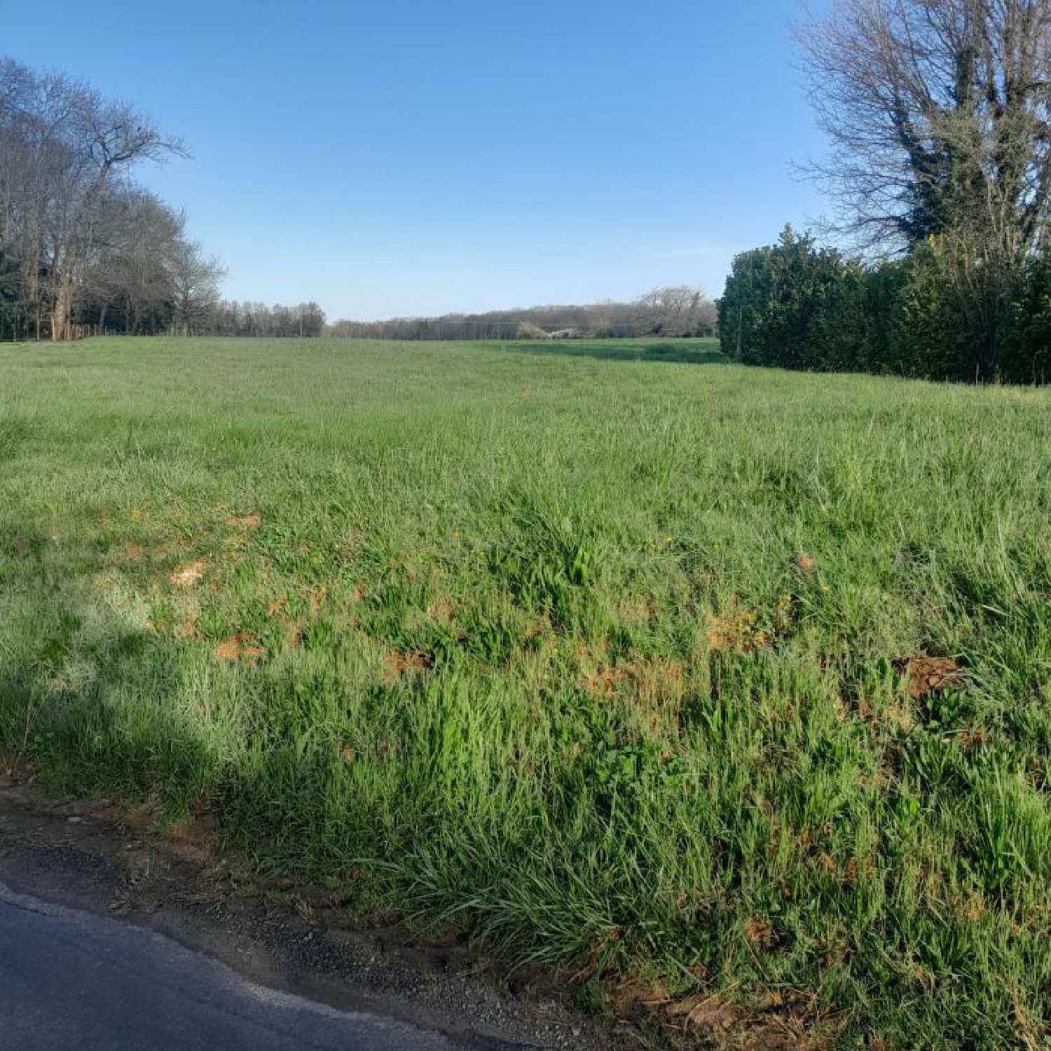  en venta terreno Saint-Sornin Charente 2
