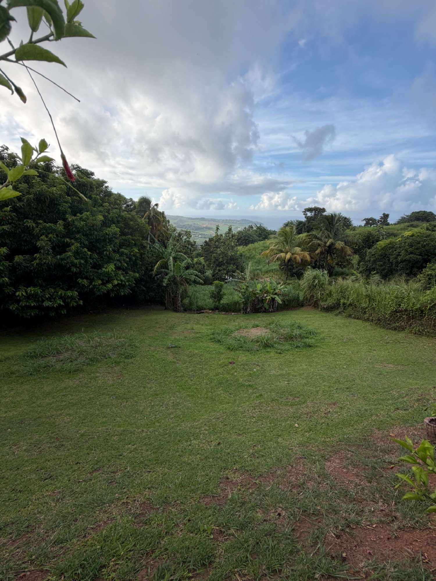 for sale terrain Sainte-Marie Martinique 3