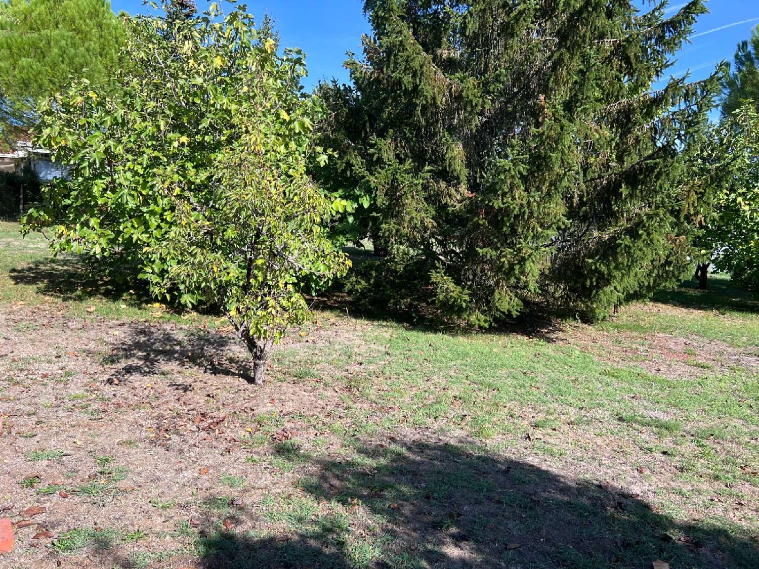 en venta terreno Saintes Charente-Maritime 4