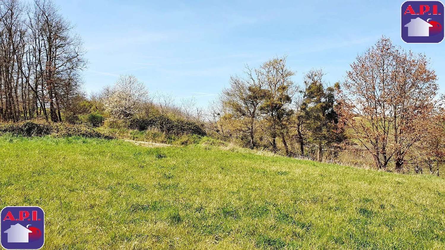  kaufen Grundstück Saverdun Ariège 1