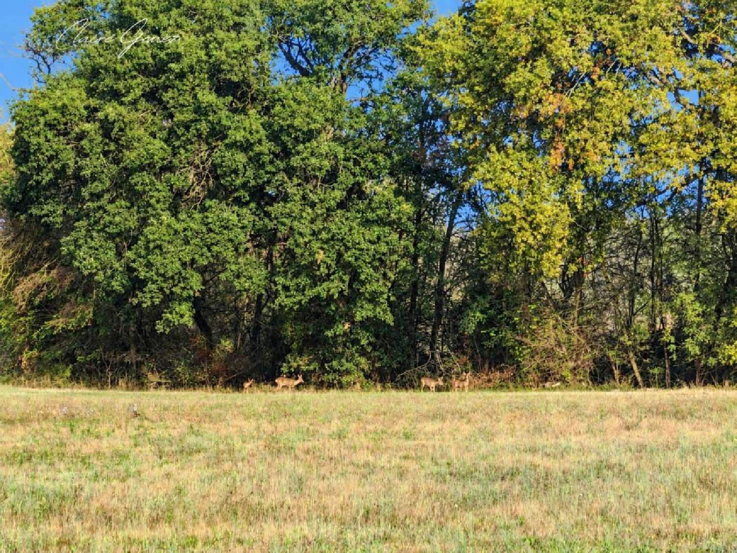  en venta terreno Ségoufielle Gers 2