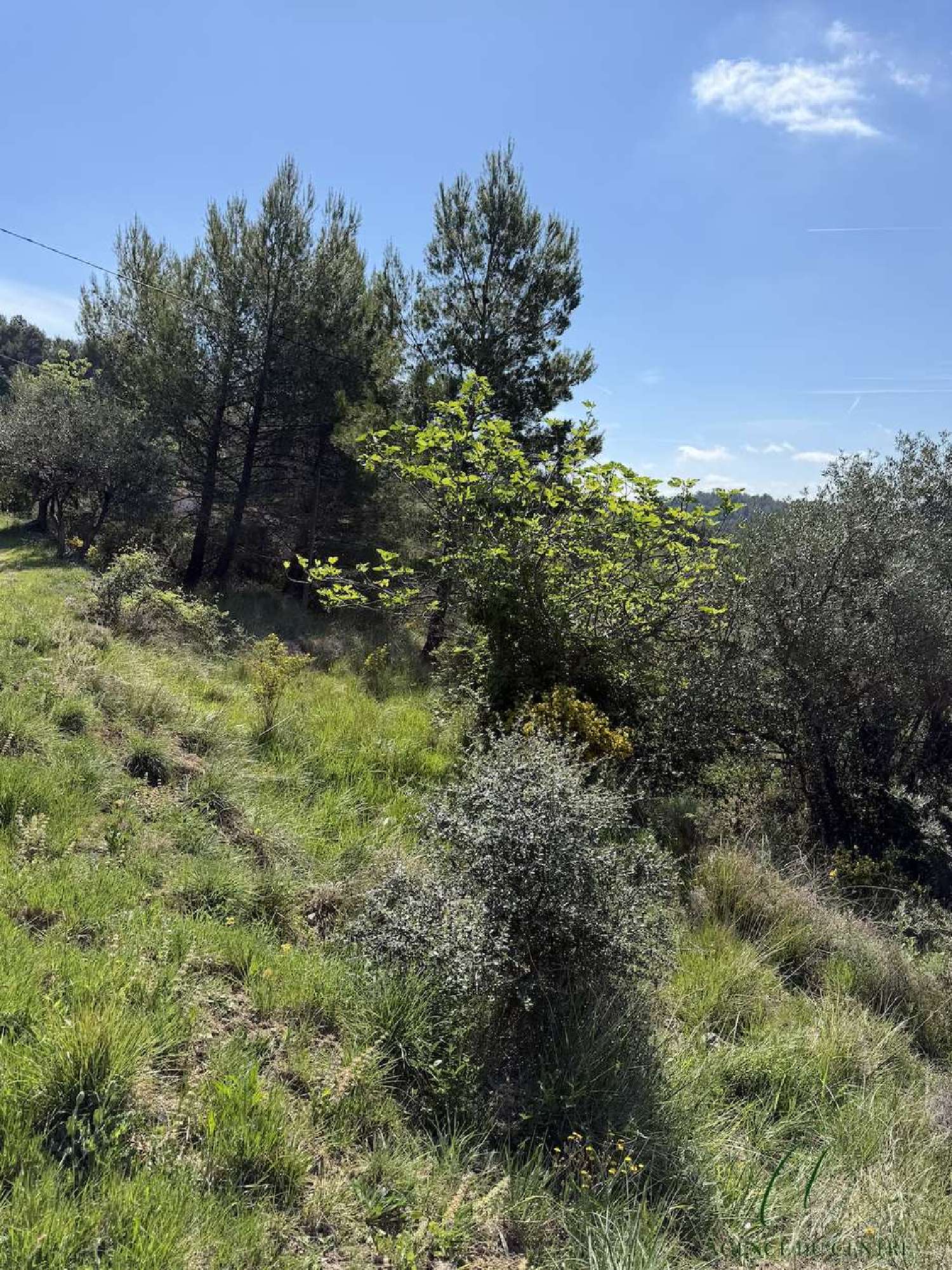 à vendre terrain Seillans Var 2