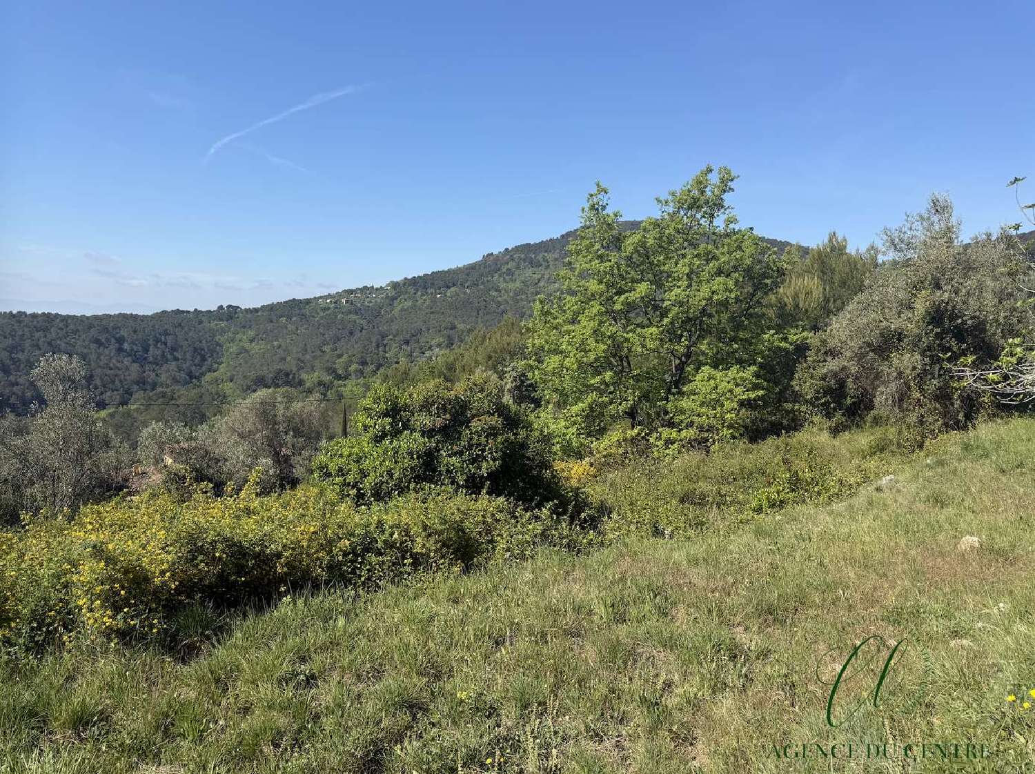 à vendre terrain Seillans Var 3