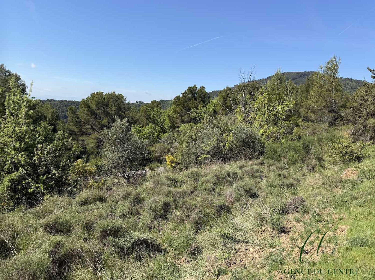 à vendre terrain Seillans Var 4