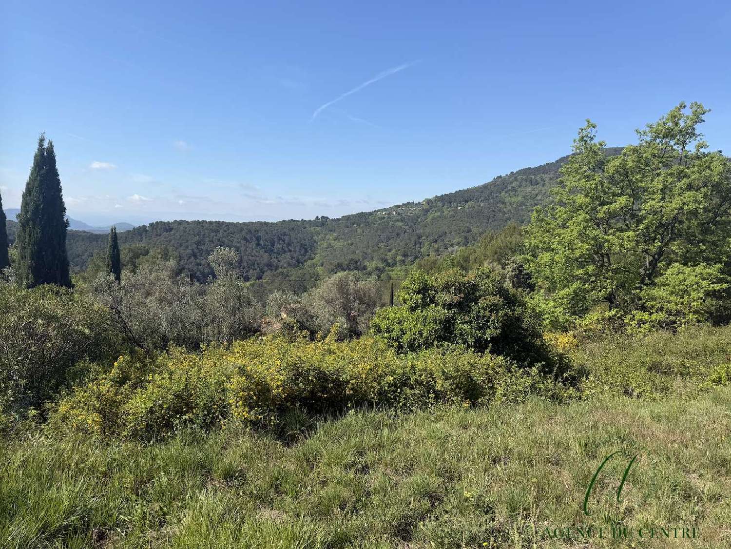 à vendre terrain Seillans Var 5