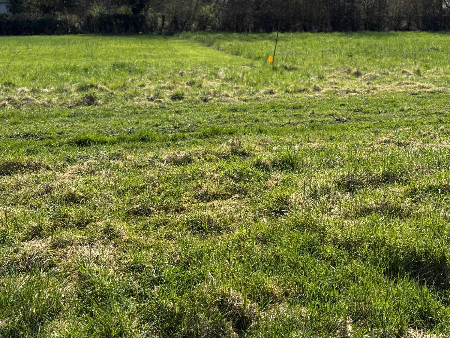  for sale terrain Sigy-en-Bray Seine-Maritime 1