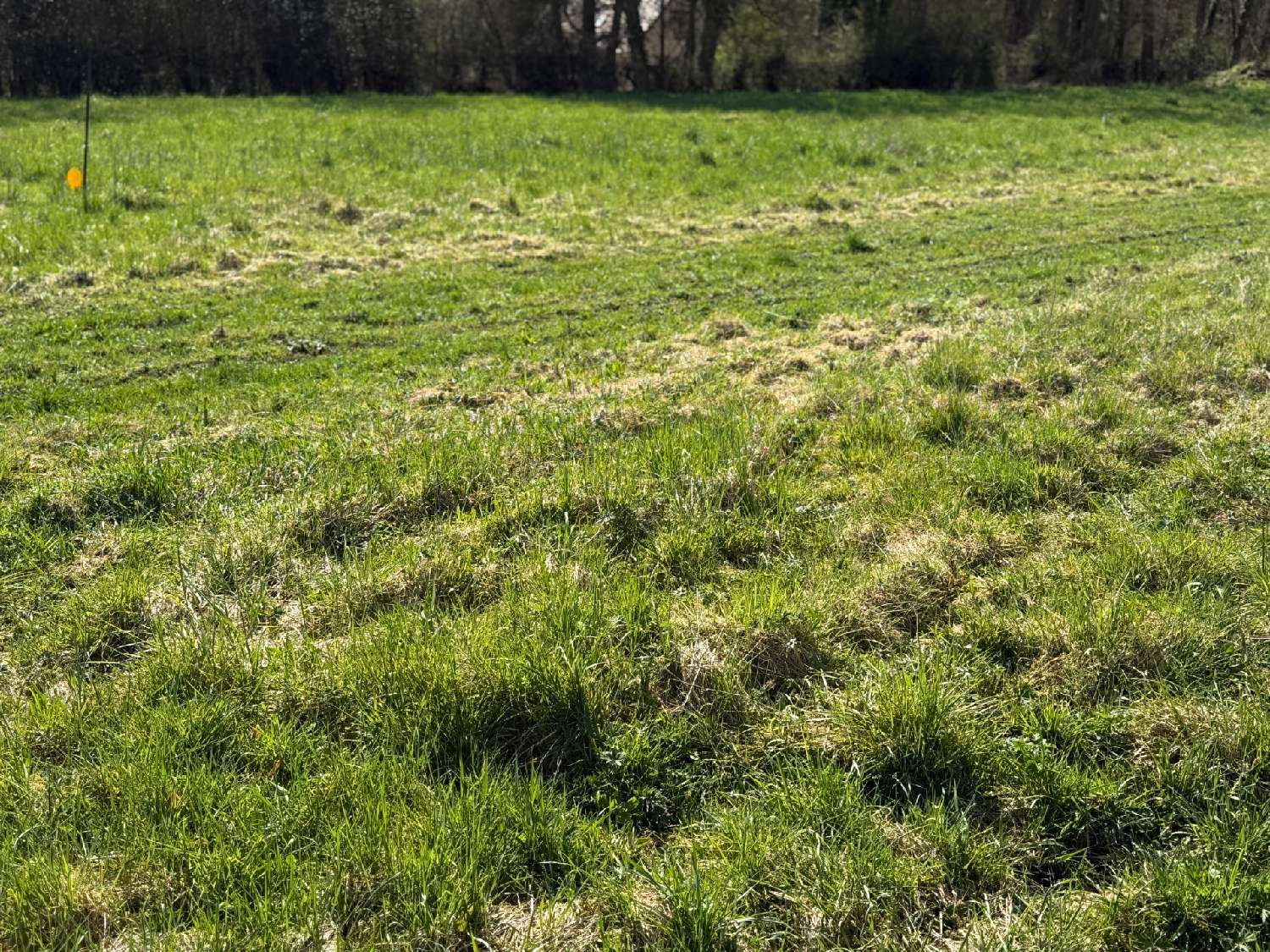  for sale terrain Sigy-en-Bray Seine-Maritime 2