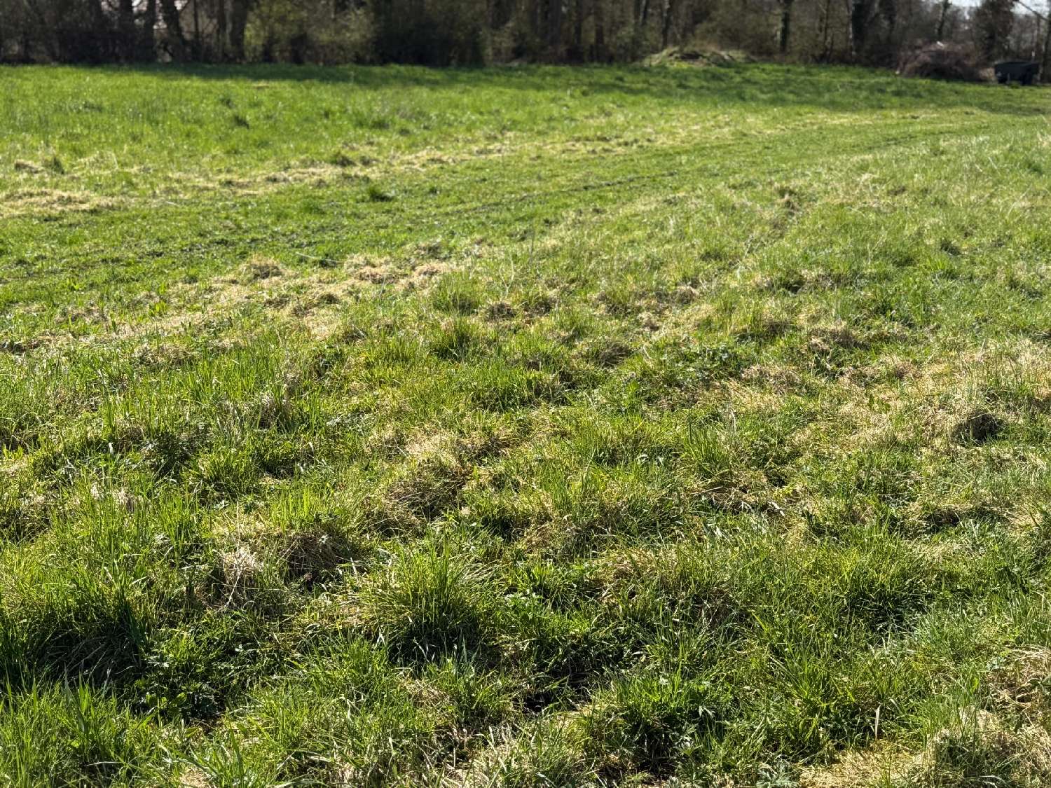 for sale terrain Sigy-en-Bray Seine-Maritime 3