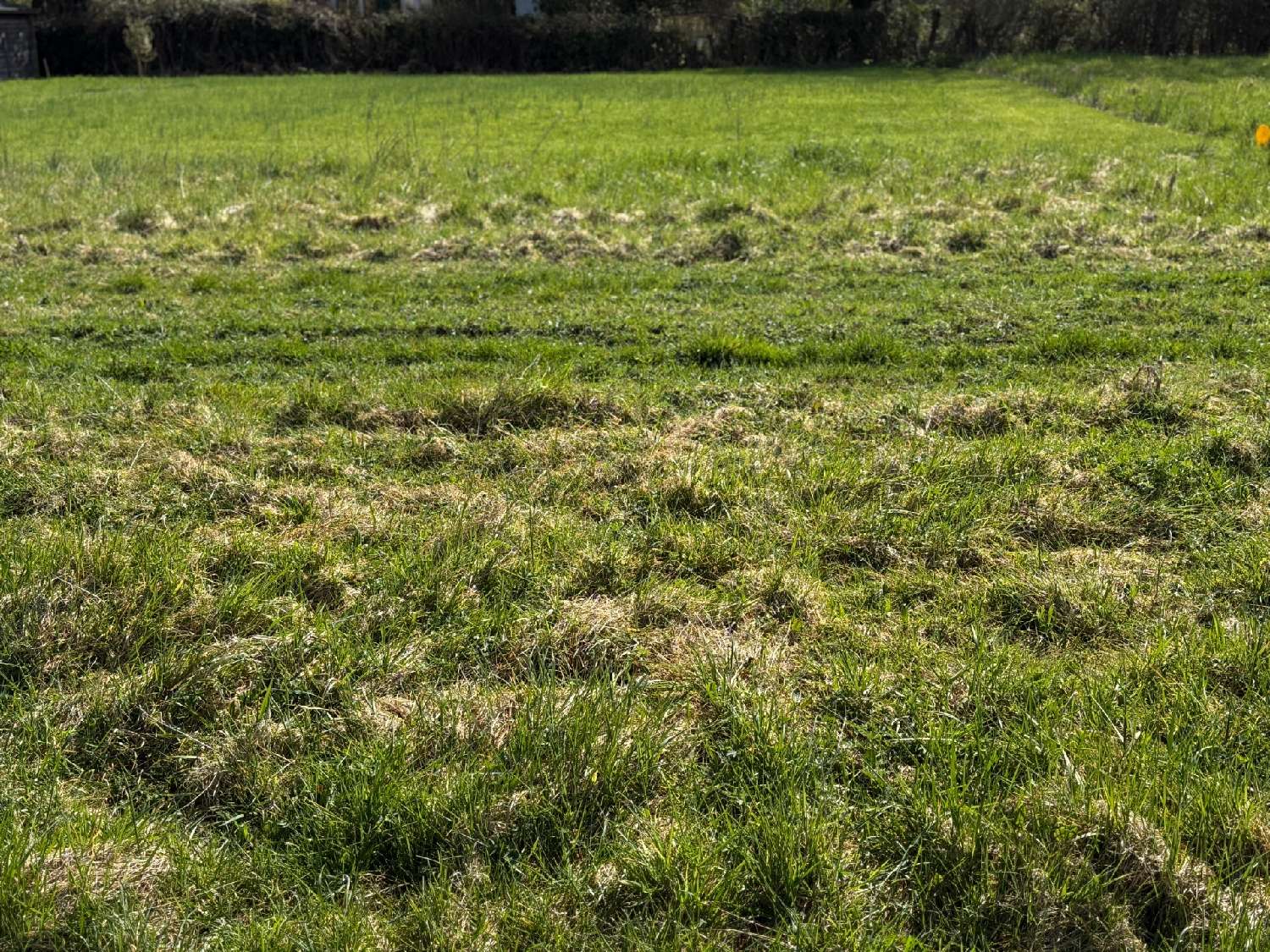  for sale terrain Sigy-en-Bray Seine-Maritime 4