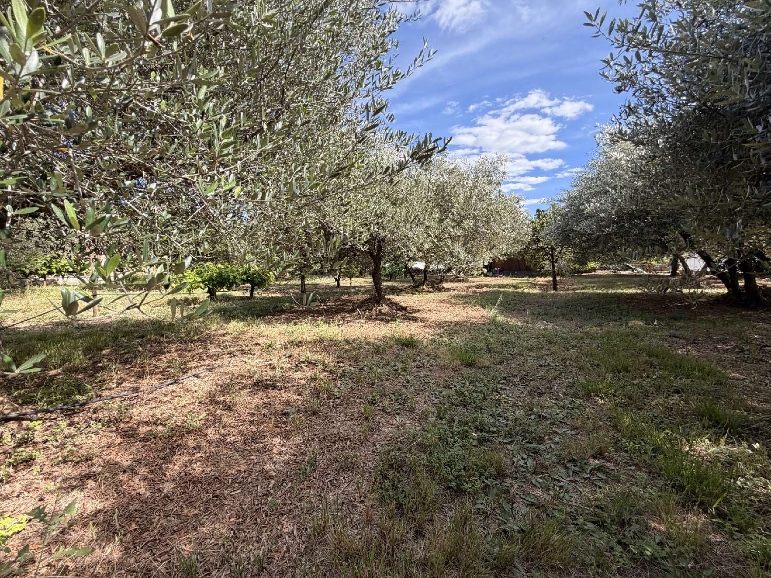 en venta terreno Vergèze Gard 6