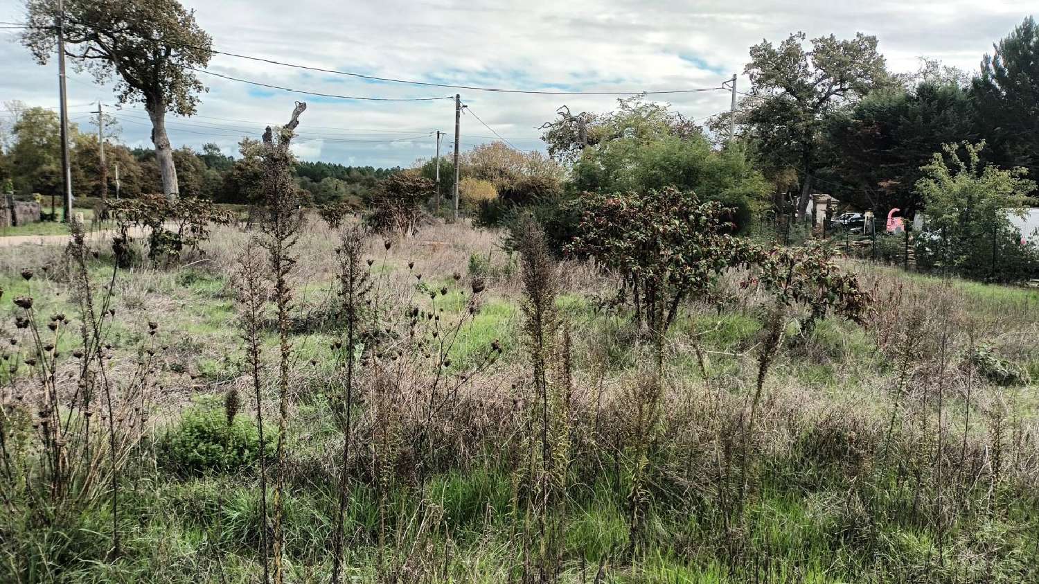  kaufen Grundstück Villandraut Gironde 1