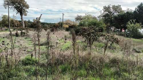 Villandraut Gironde terrain foto