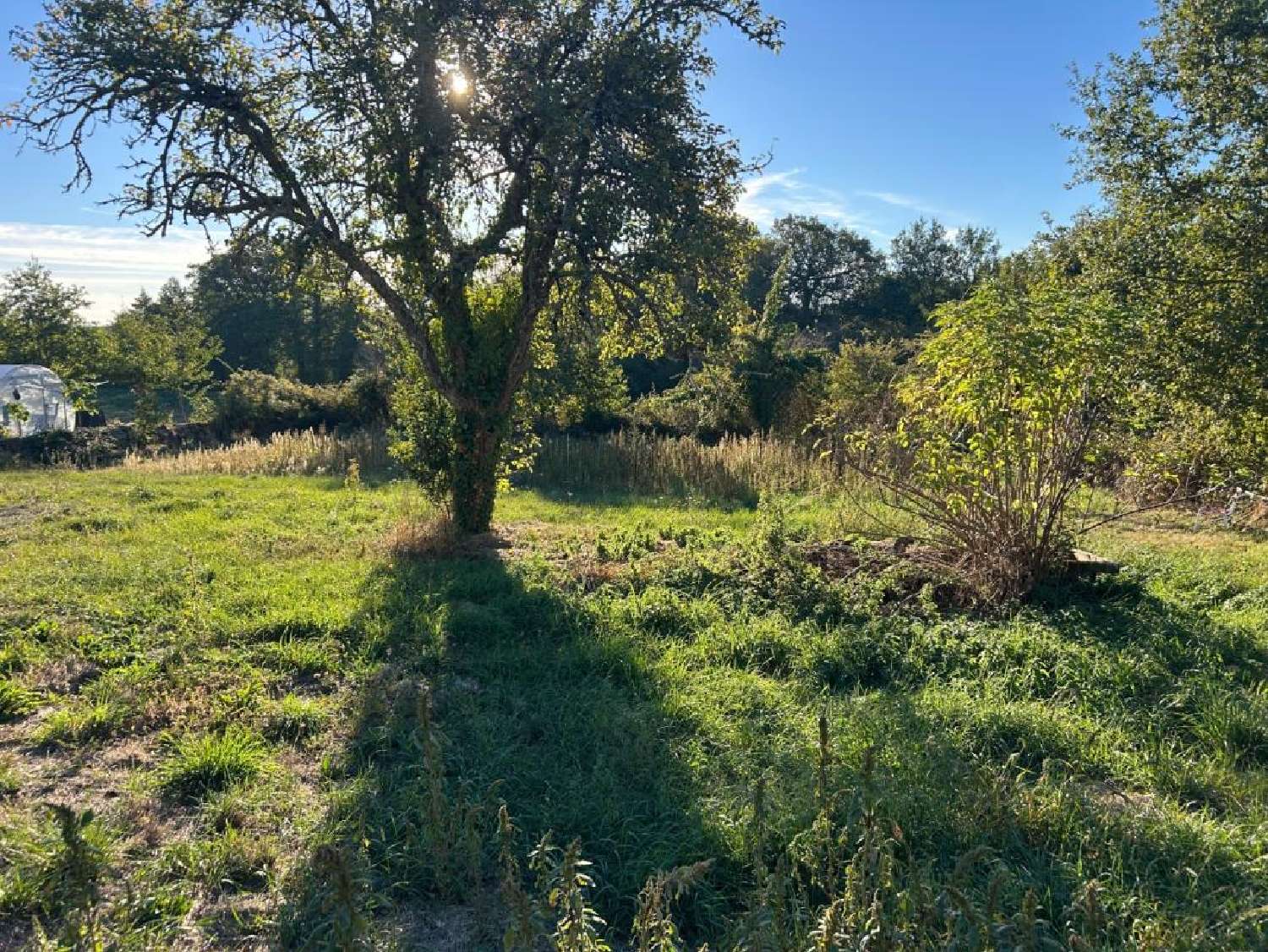 en venta terreno Villefavard Haute-Vienne 4