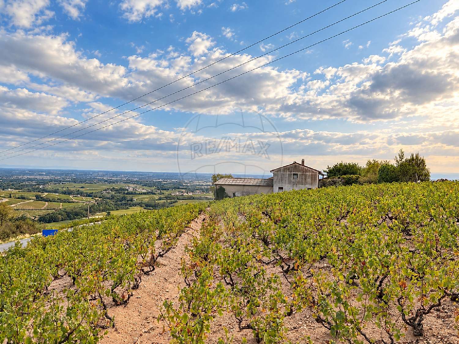 for sale terrain Villié-Morgon Rhône 4