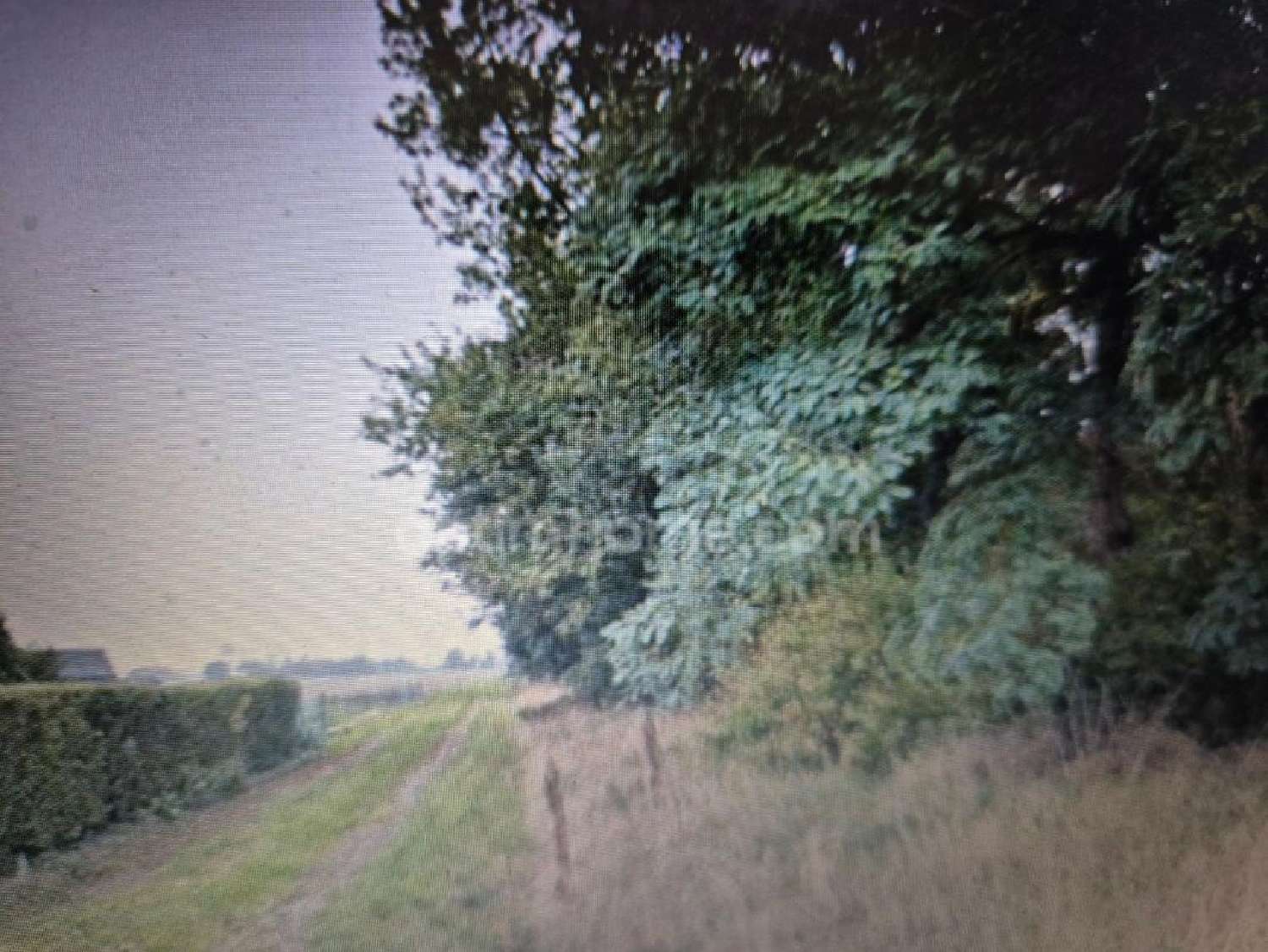 kaufen Grundstück Warhem Nord 3