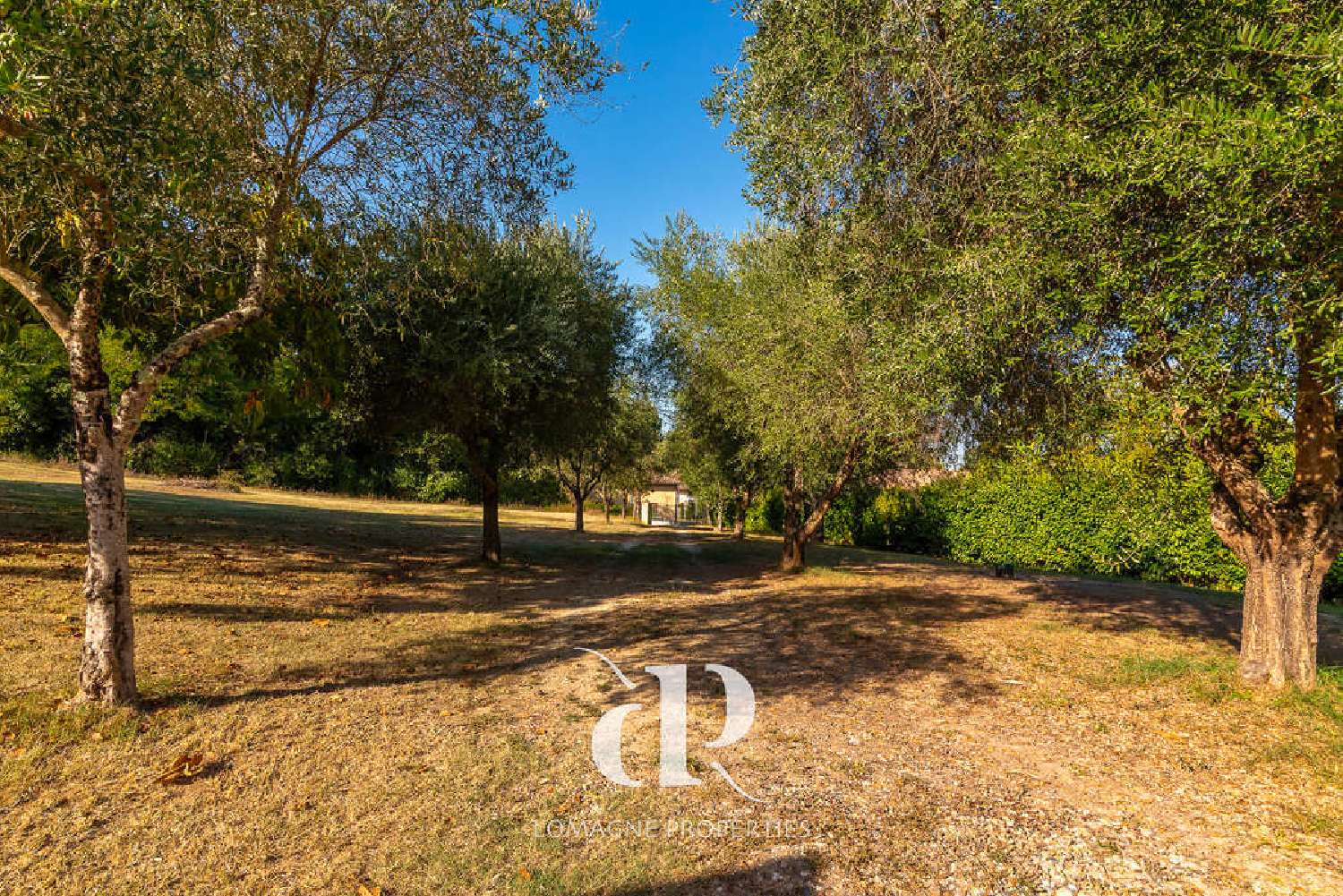  à vendre villa Beaumont-de-Lomagne Tarn-et-Garonne 8