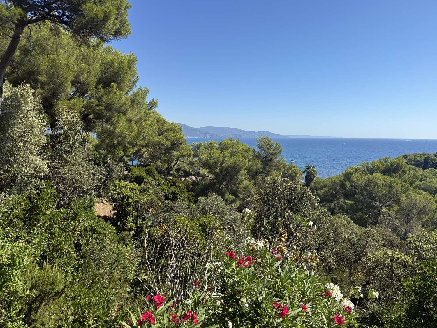 en venta villa Bormes-les-Mimosas Var 4