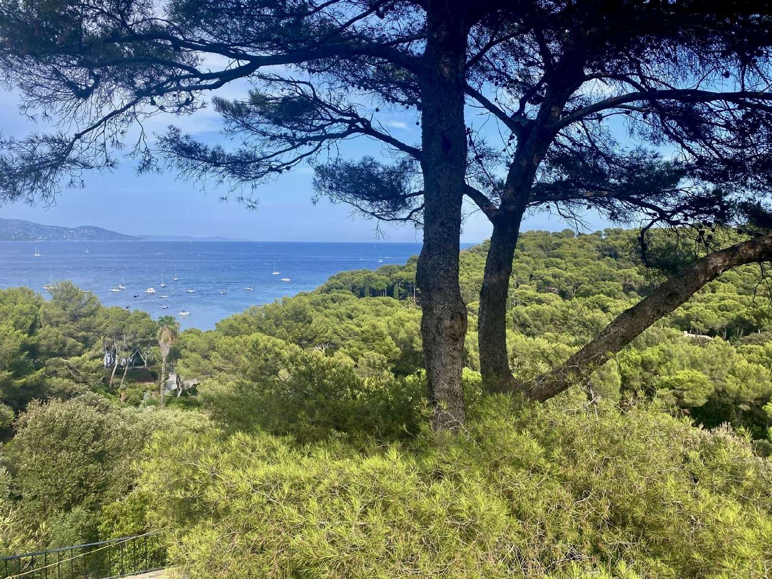 en venta villa Bormes-les-Mimosas Var 7