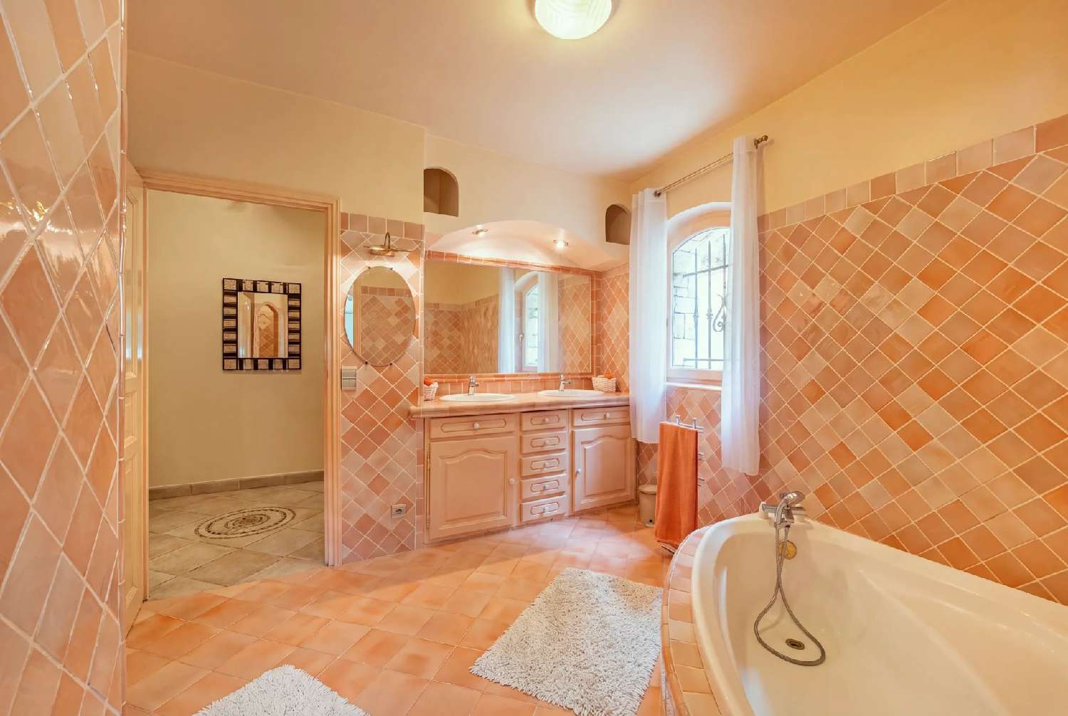  à vendre villa Cagnes-sur-Mer Alpes-Maritimes 8