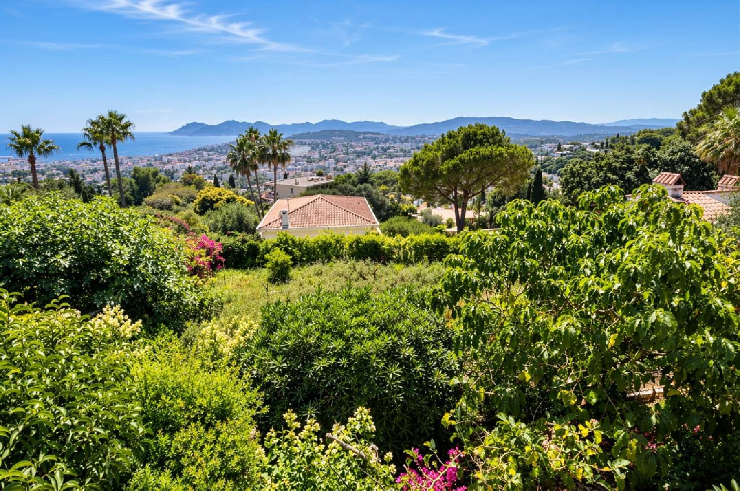  te koop villa Cannes Alpes-Maritimes 3