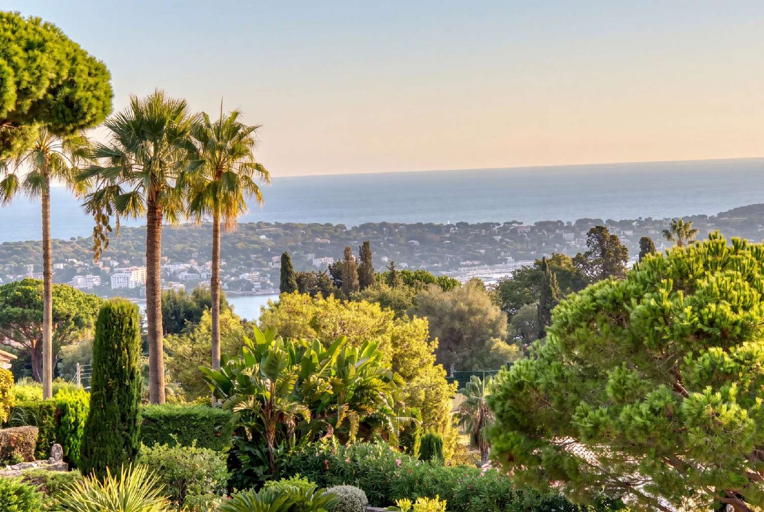 for sale villa Cannes Alpes-Maritimes 1