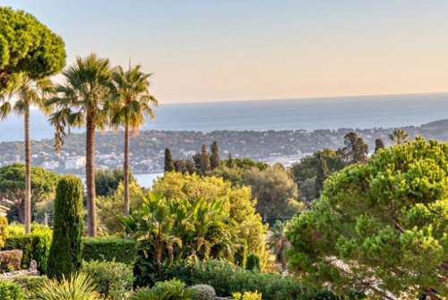 Cannes Alpes-Maritimes villa foto 7435929