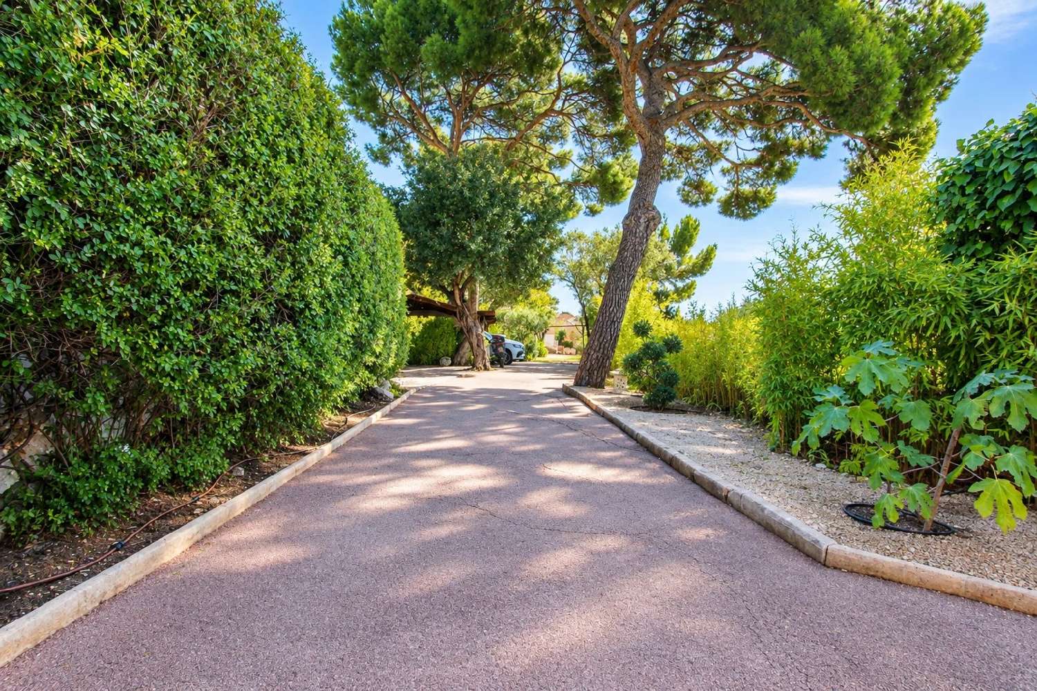  for sale villa Cap-d'Ail Alpes-Maritimes 4