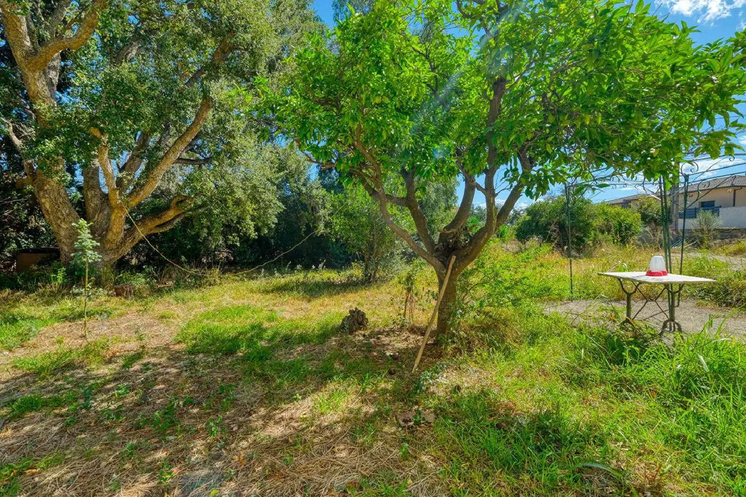 à vendre villa Furiani Haute-Corse 8