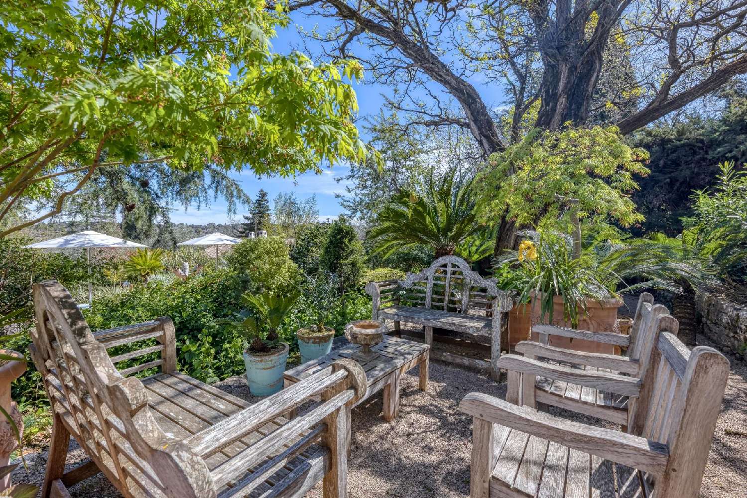  for sale villa Grasse Alpes-Maritimes 3