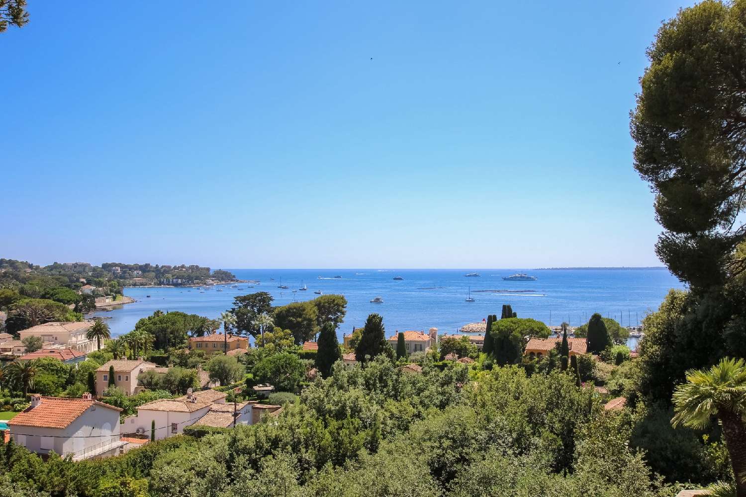 te koop villa Juan-les-Pins Alpes-Maritimes 1