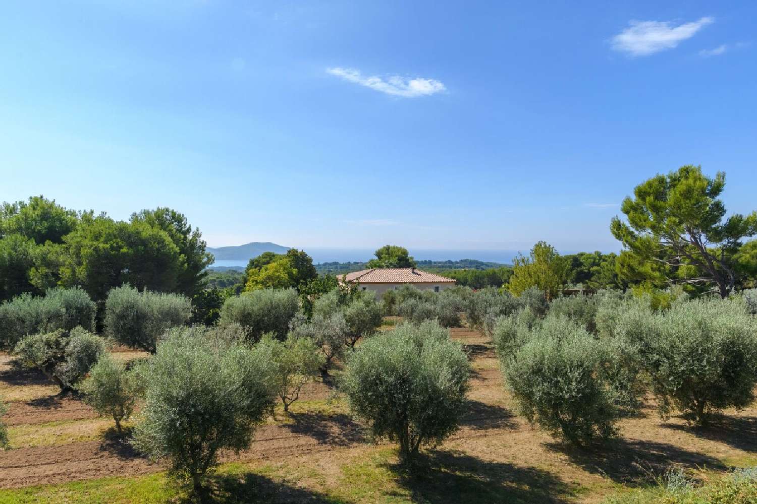 for sale villa La Cadière-d'Azur Var 2
