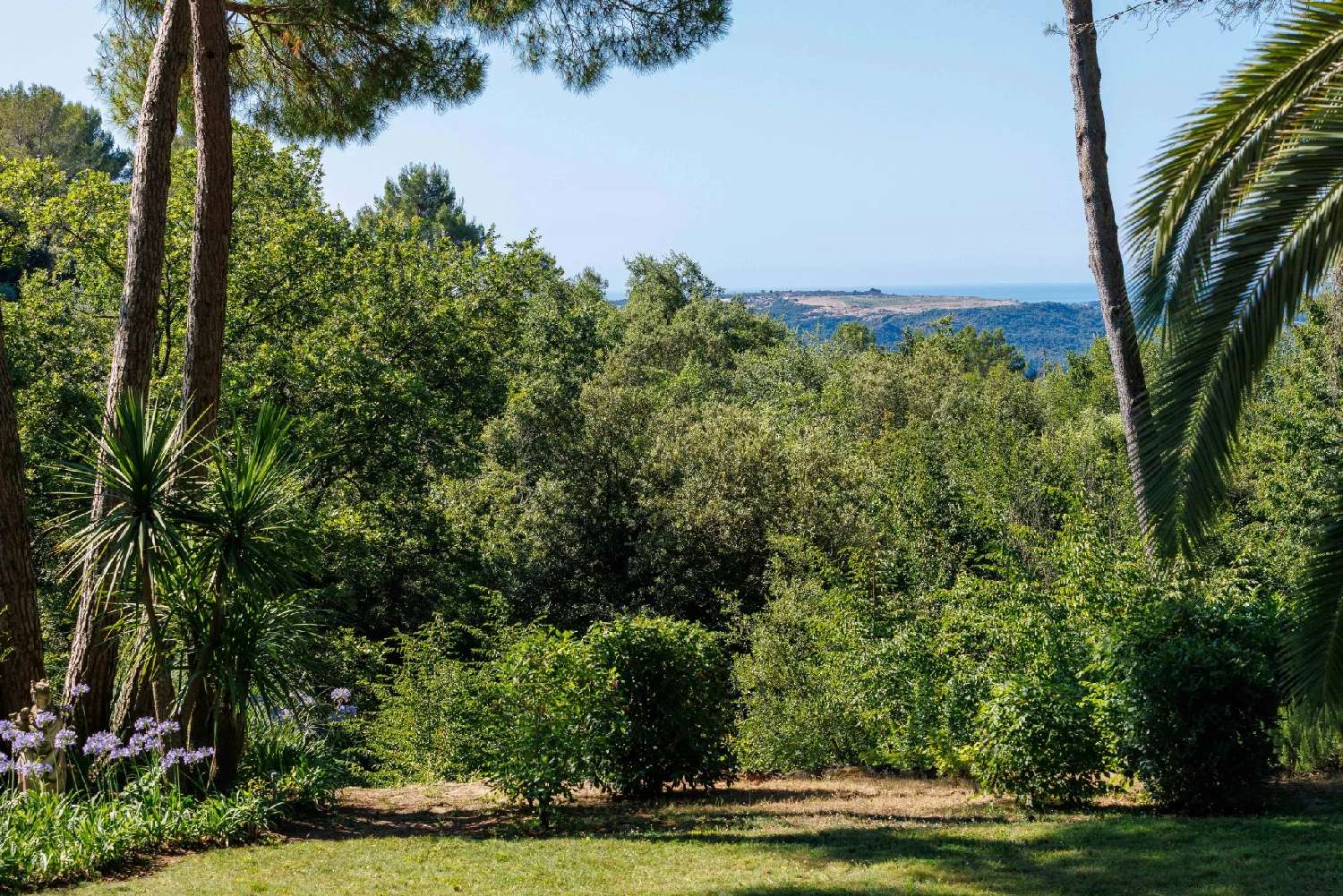  for sale villa La Colle-sur-Loup Alpes-Maritimes 3
