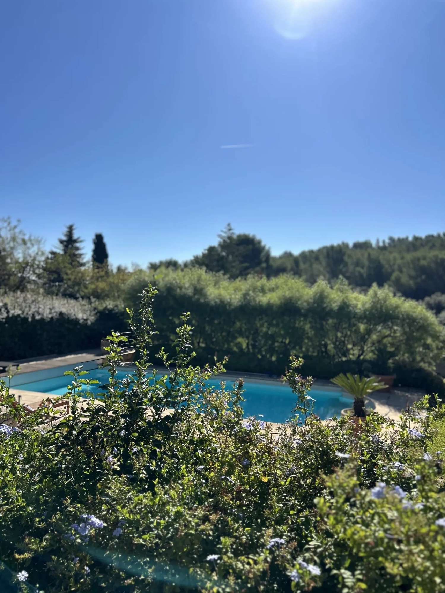 kaufen Villa La Farlède Var 4