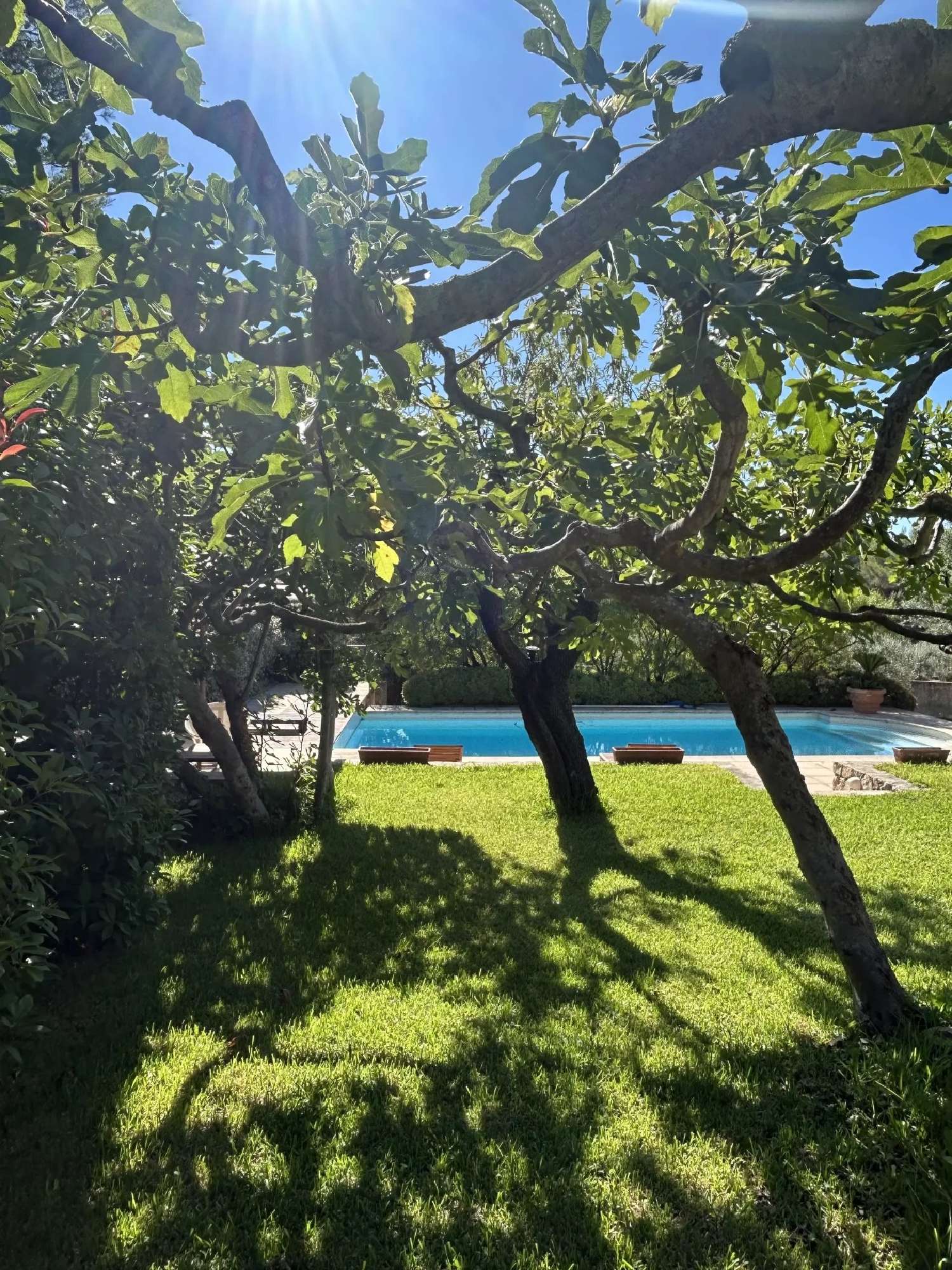 kaufen Villa La Farlède Var 5