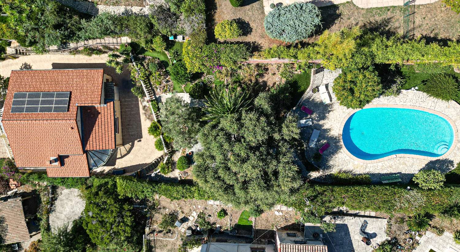 for sale villa Mandelieu-la-Napoule Alpes-Maritimes 6