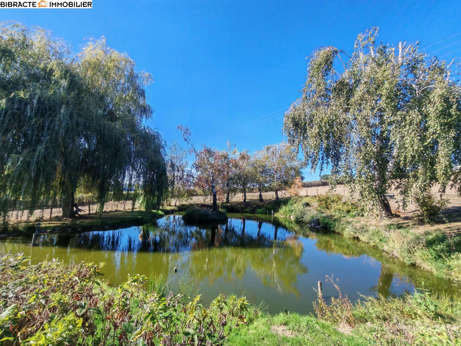 à vendre villa Millay Nièvre 7