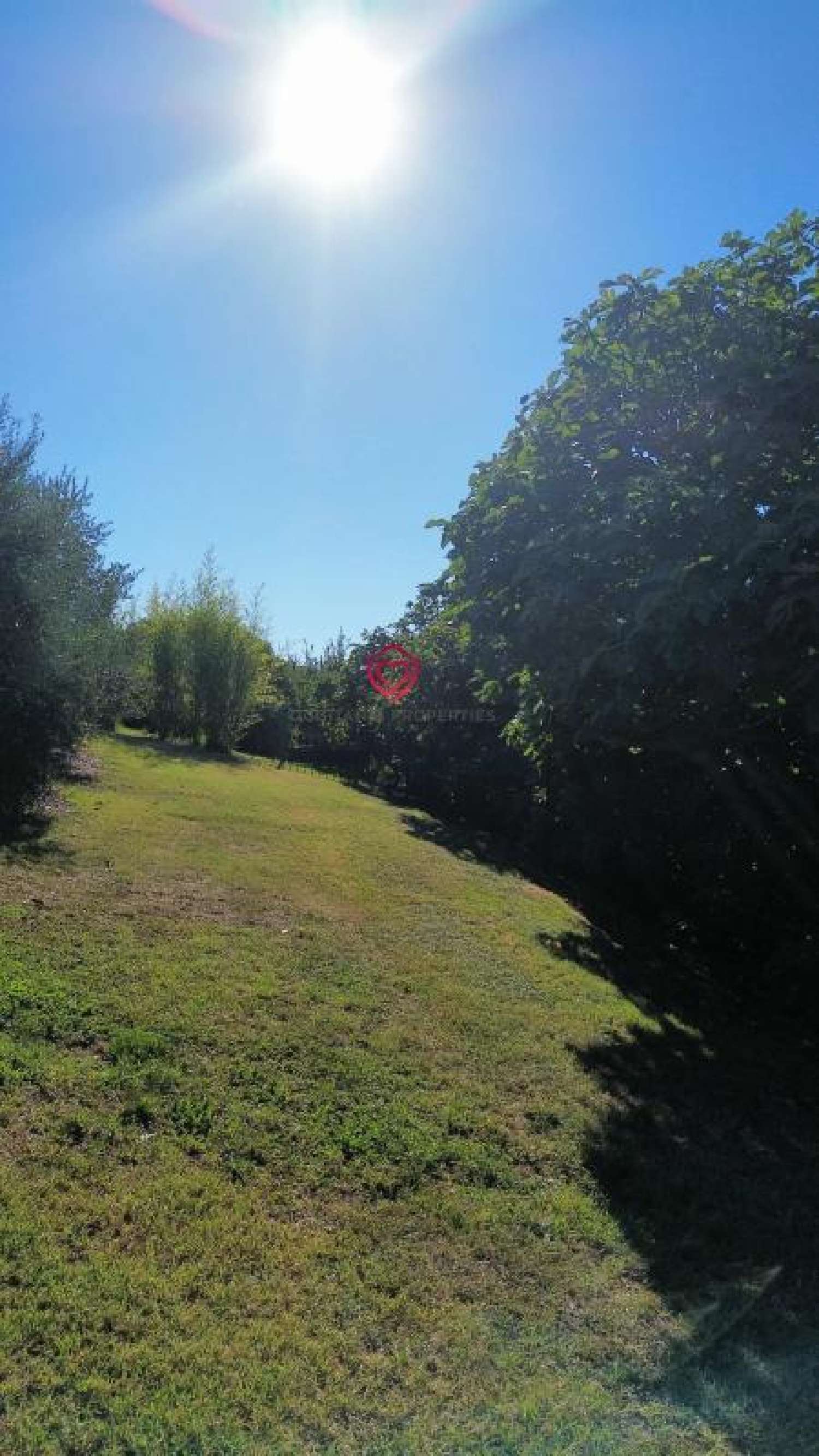 à vendre villa Mirande Gers 6