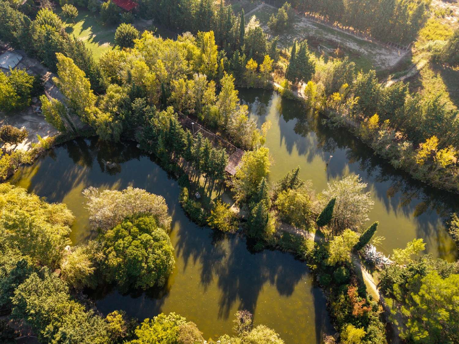 kaufen Villa Mollégès Bouches-du-Rhône 5