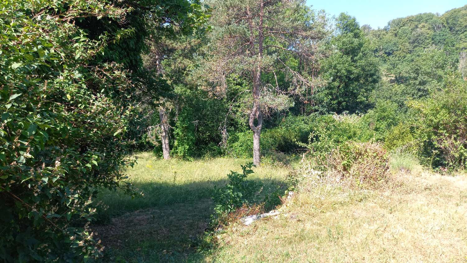 for sale villa Montrond Jura 6