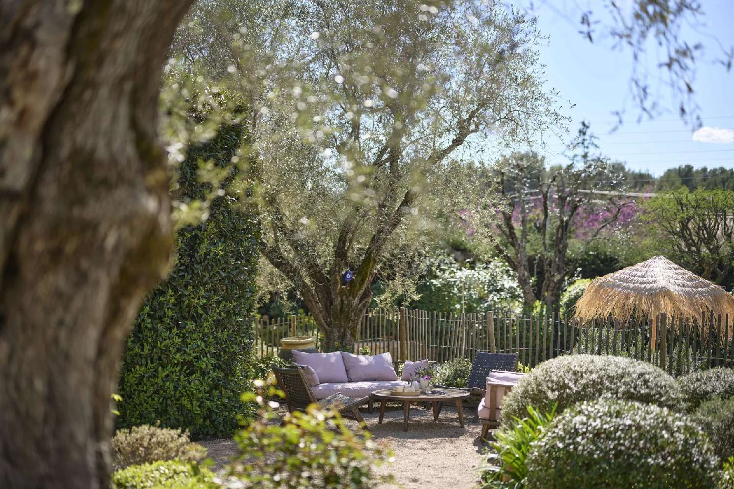  te koop villa Mougins Alpes-Maritimes 7