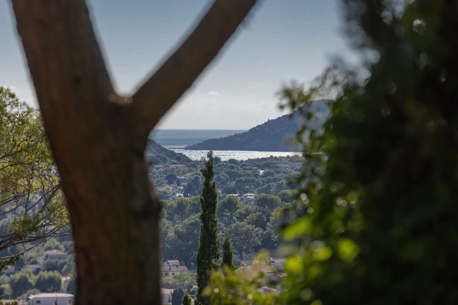  for sale villa Mougins Alpes-Maritimes 3